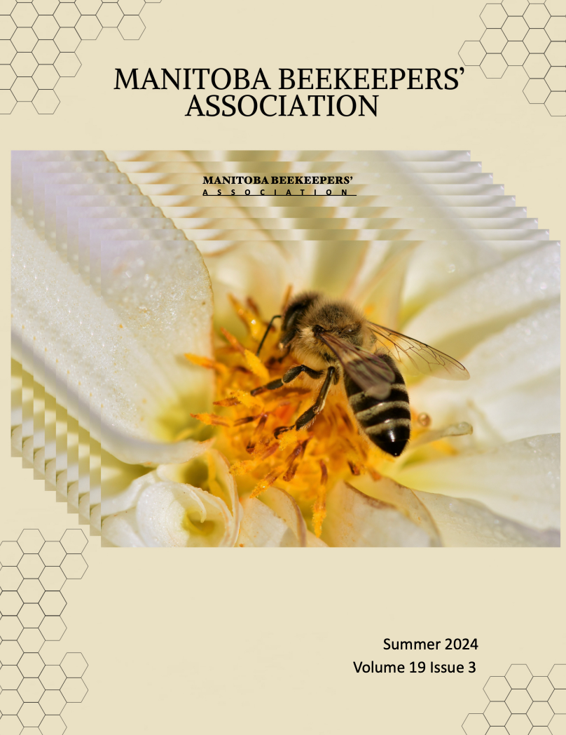 MBA SUMMER 2024 NEWSLETTER